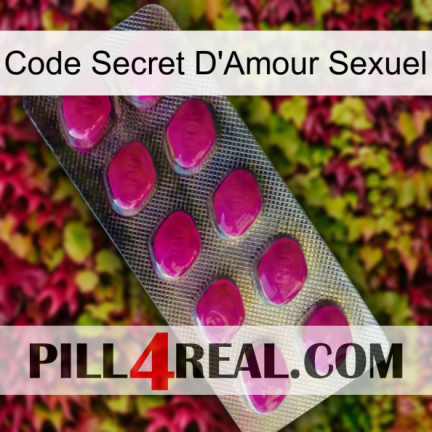 Sex Love Secret Code 09